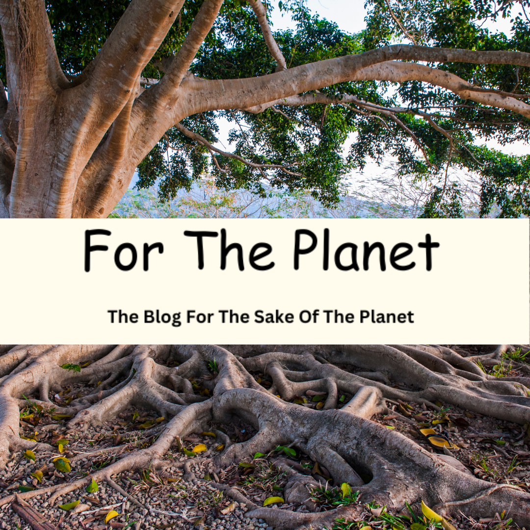 Tree with large roots and branches over a body of water, with 'For The Planet' text overlay.